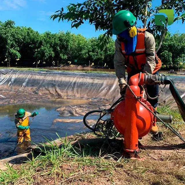 Biorremediación de suelos contaminados